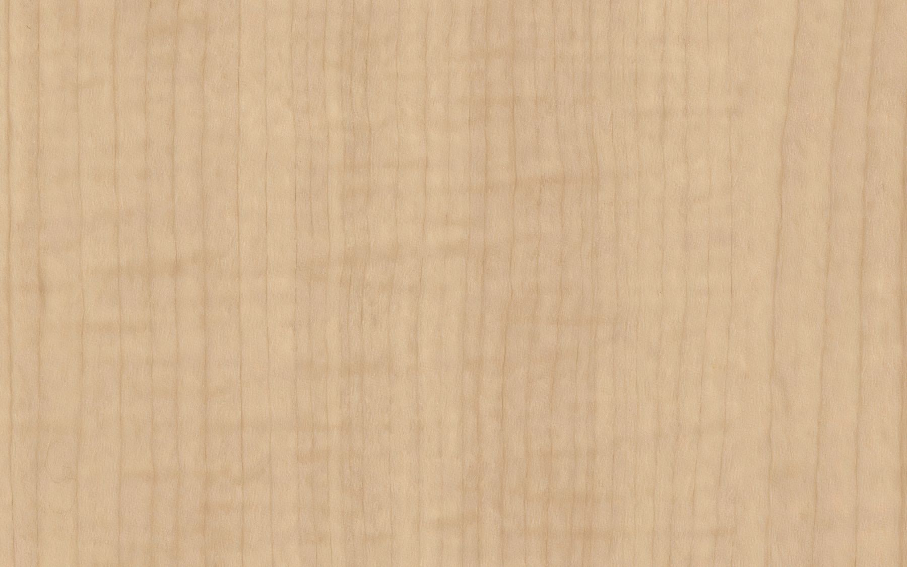 Fusion Maple DT